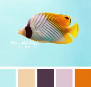 Orange turquoise color palette