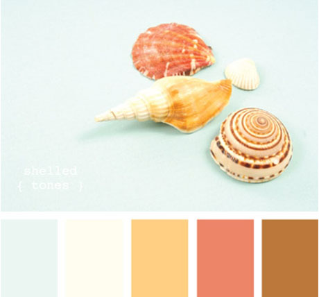 Orange-Turquoise-Color-Palette with sea shells