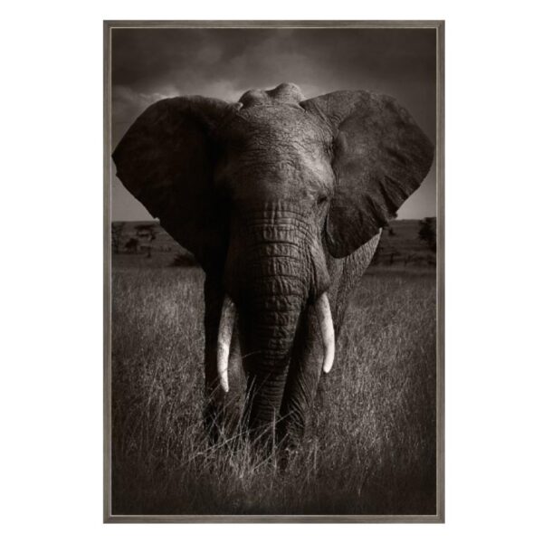 African Elephant Art