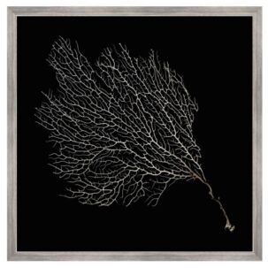 Black and White Sea Fan Art 2