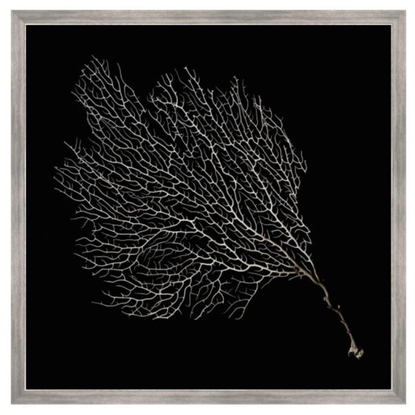 Black and White Sea Fan Art 2