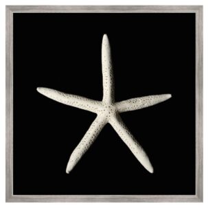 Black and White Starfish Art