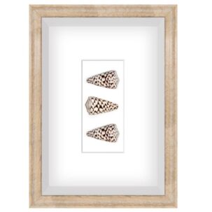 Brown and White Shadow Box Art