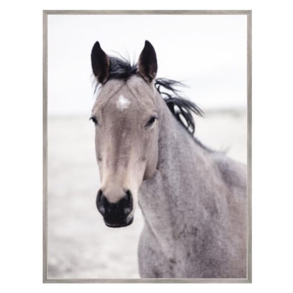 Buckskin Mare Horse Photography Art