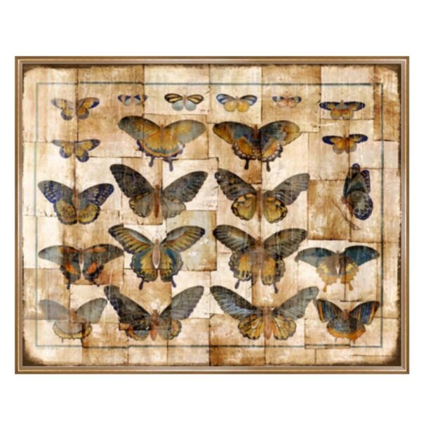 Collage de Papillons Butterfly Art