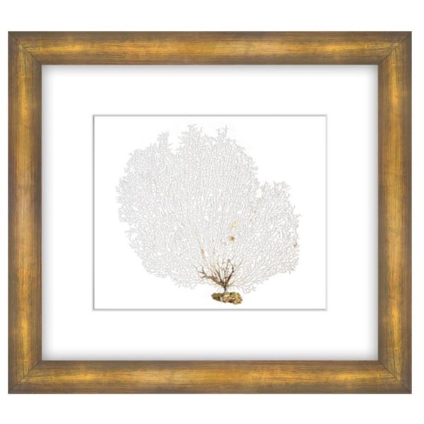 Coral Sea Fan Gold Shadow Box Art