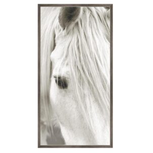 Focusing on White Horse III