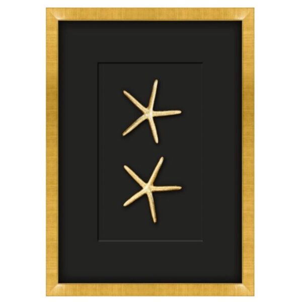 Gilded Gold Starfish Shadow Box Art - Large