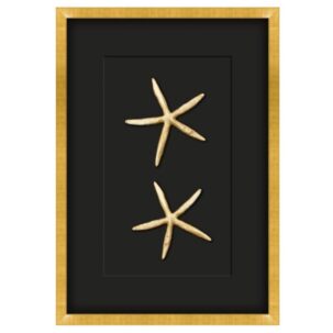 Gilded Gold Starfish Shadow Box Art - Small