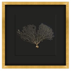 Gold and Black Seafan Shadow Box Art