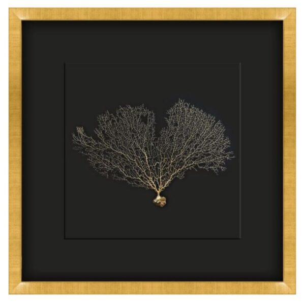 Gold and Black Seafan Shadow Box Art