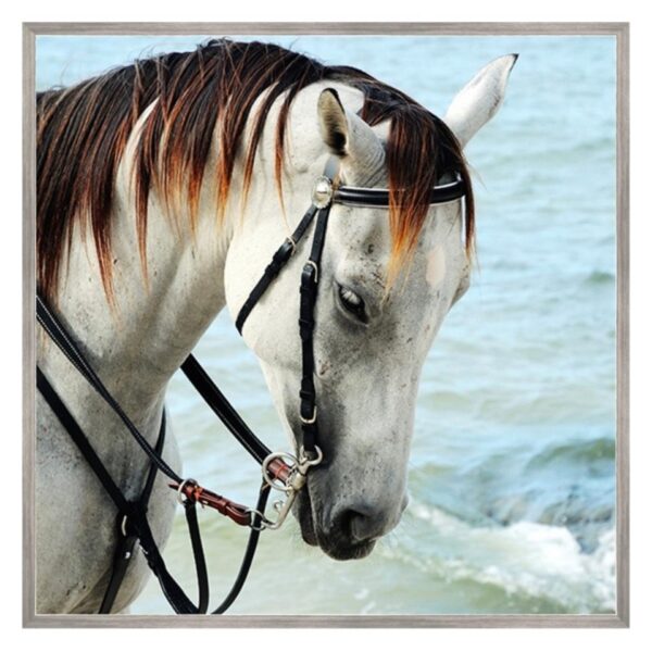 Horse in Sea Breeze Art