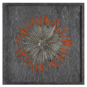 Kumara Feather Shadow Box Art