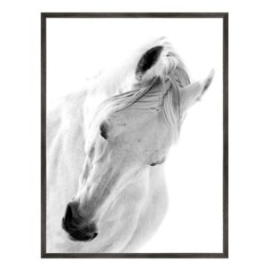 Le Cheval Blanc I Horse Photography Art