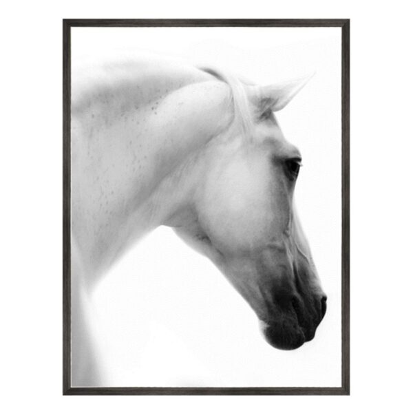 Le Cheval Blanc II Horse Photography Art