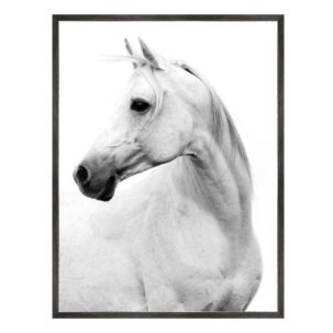 Le Cheval Blanc III Horse Photography Art