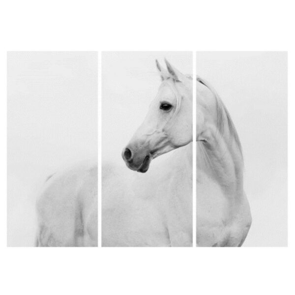 Majestic White Horse triptych