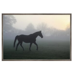 Misty Paddock Horse Art