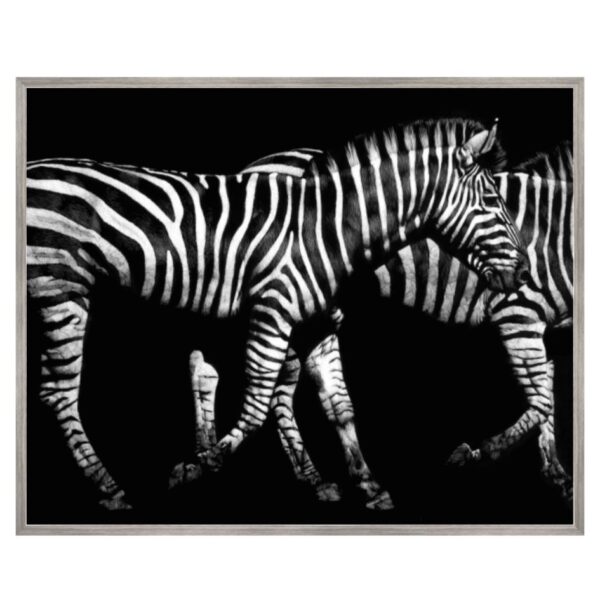 Black and White Zebras Art