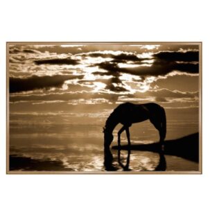 Peaceful Moment Horse Art