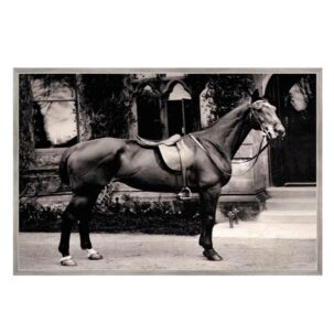 The Victorian Horse Art